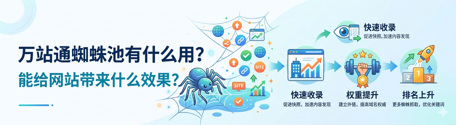 万站通蜘蛛池有什么用?能给网站带来什么效果？